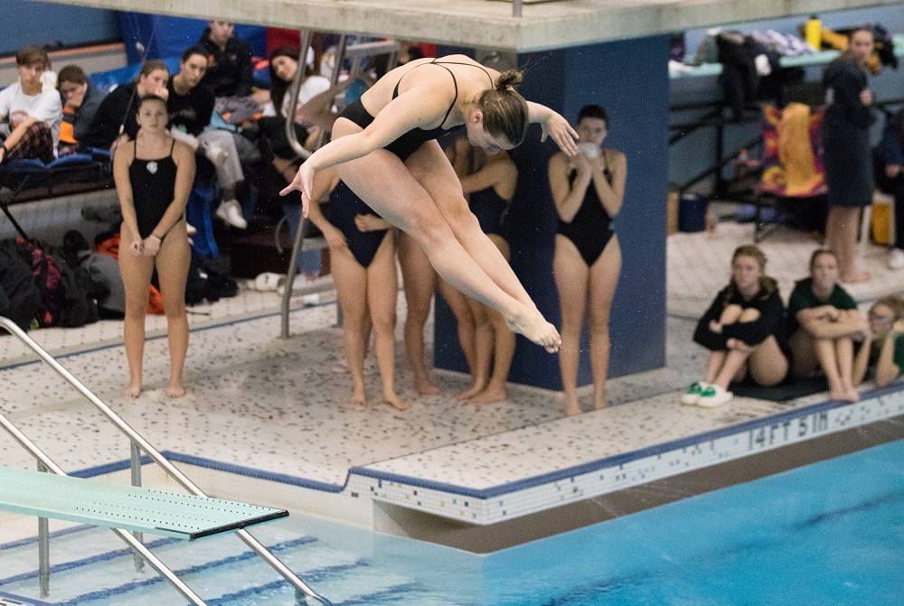 Dexter’s Lily Witte dives during Saturday's LPD2 Finals.