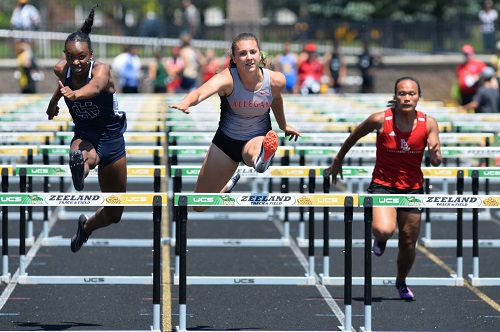 Allegan track